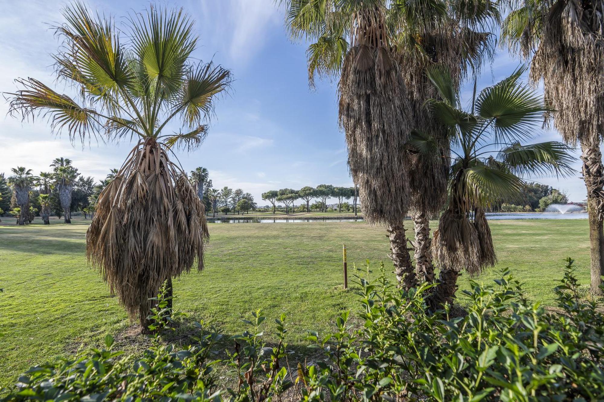 La Quinta Ii By H *