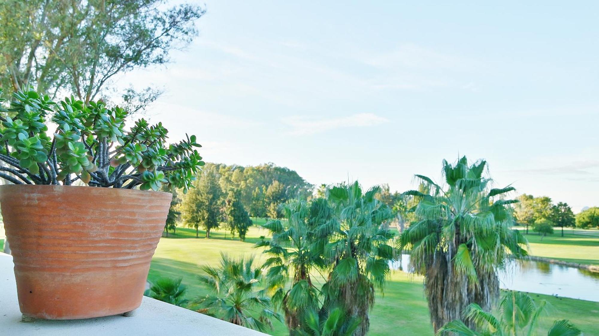 La Quinta Ii By H